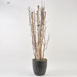 7' Birch Pole and Birch Branches in Round Black Textured Planter