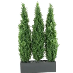 6' Cedar Tree Screen in Rectangle Planter