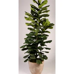 8' Jumbo Fiddle Leaf Fig Tree in Clay Bank Planter