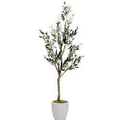 6.5' Olive Tree in Round White Textured Planter
