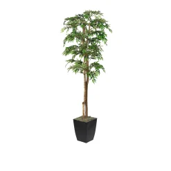 6' Ruscus Tree in Black Metal Planter