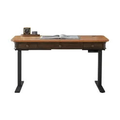 Anderson Powered Adjustable Height Desk – 54