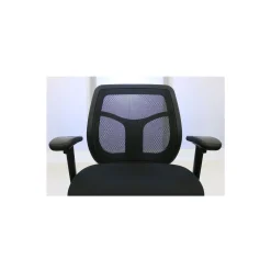 Apollo Mesh Task Chair