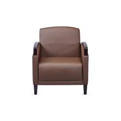 Arc Collection Polyurethane Arm Chair with Wood Arms