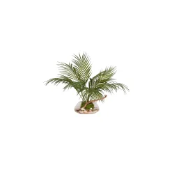 Areca Palm and Ghostwood Branch in Glass Bowl