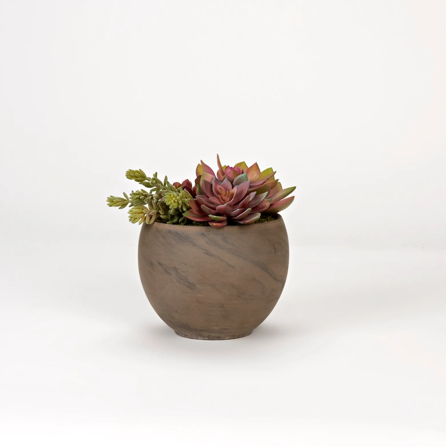 Assorted Echeveria and Succulents in Round Brown Marble Planter