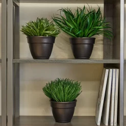 Assorted Grasses - Set of Three