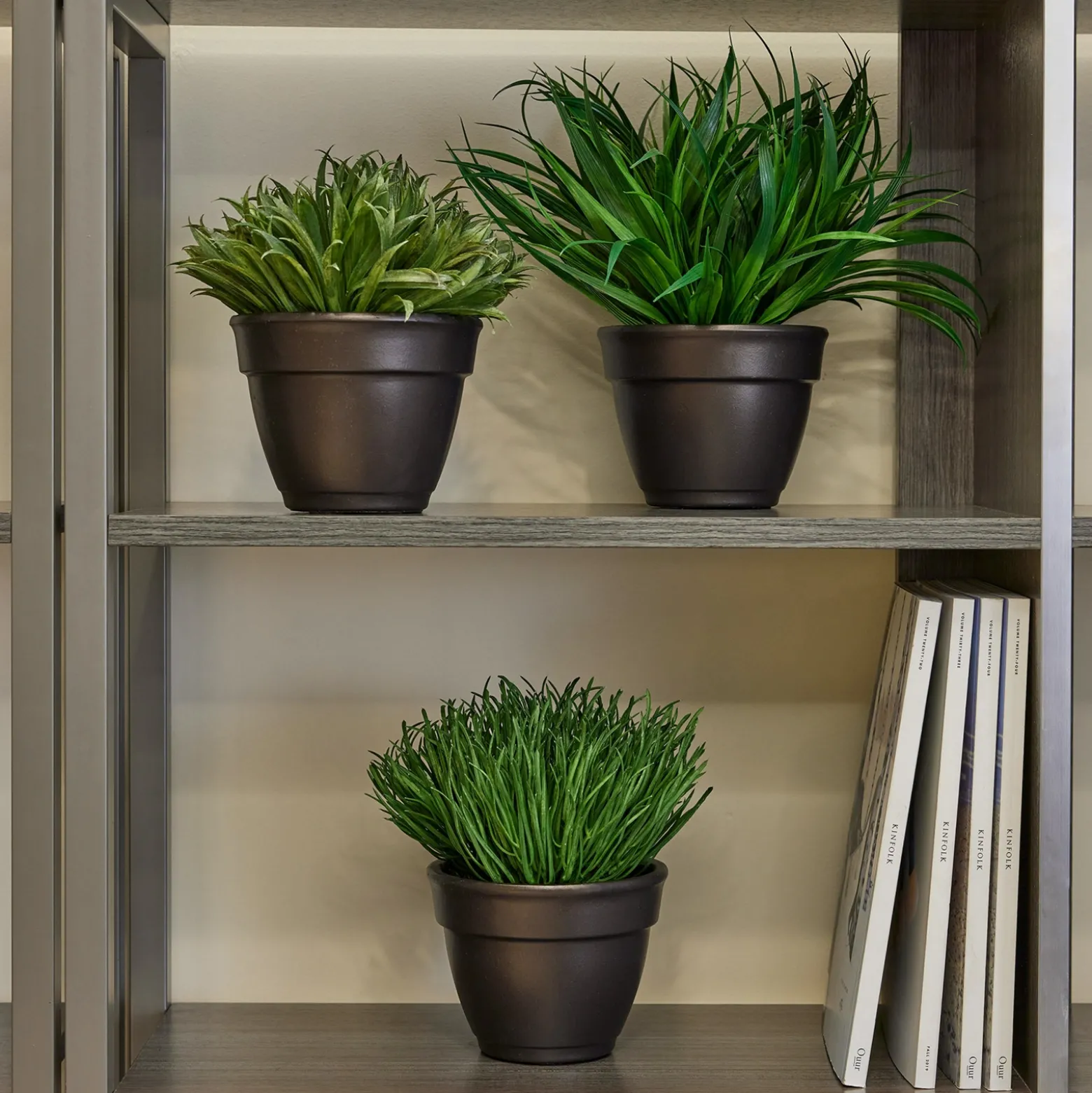 Assorted Grasses - Set of Three