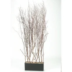 Birch Tree Tops Screen in Rectangle Planter