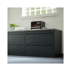 Carbon Lateral File 36