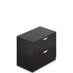 Contemporary Two Drawer Lateral Storage File
