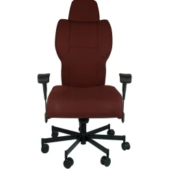 Dauerhaft 24/7 Fabric Chair with Pivot Arms