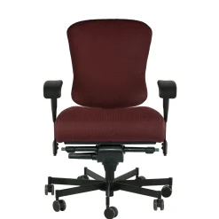 Dauerhaft 24/7 Fabric Chair with Pivot Arms