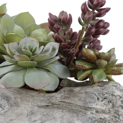 Driftwood Succulents