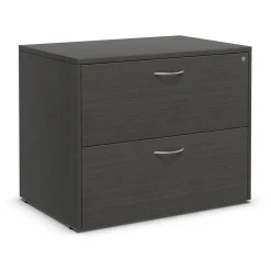 Endure 29"H 2-Drawer Lateral File