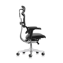 Ergohuman Ergonomic High Mesh Back Leather Seat Executive Chair with Headrest
