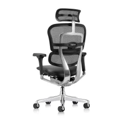 Ergohuman Ergonomic High Mesh Back Leather Seat Executive Chair with Headrest