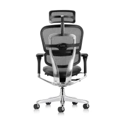 Ergohuman Ergonomic High Mesh Back Leather Seat Executive Chair with Headrest