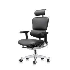 Ergohuman Ergonomic High-back Leather Chair with Headrest