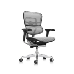 Ergohuman Ergonomic Mid Back Mesh Chair