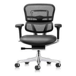 Ergohuman Ergonomic Mid Mesh Back Leather Seat Chair