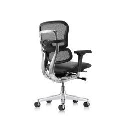 Ergohuman Ergonomic Mid Mesh Back Leather Seat Chair