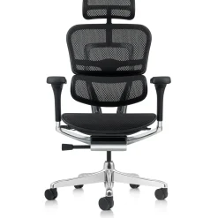 Ergohuman Mesh Ergonomic High-Back Office Chair
