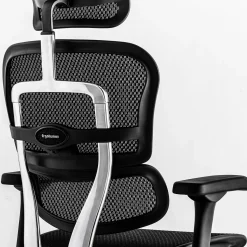 Ergohuman Mesh Ergonomic High-Back Office Chair