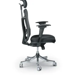 Ergonomic Executive Chair with Headrest