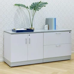Esquire Storage Cabinet and Lateral File - 63