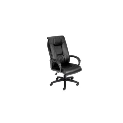 Executive High Back Leather Chair with Padded Arms and Adjustable Seat