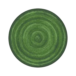 Feeling Fun 5'4" Round Area Rug