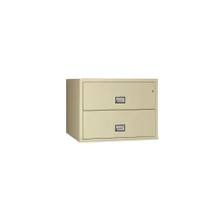 Fireproof Two Drawer Lateral File - 31