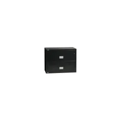 Fireproof Two Drawer Lateral File - 31