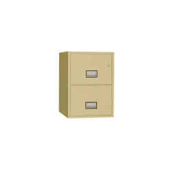 Fireproof Two Drawer Vertical File - 16.875"W x 31"D