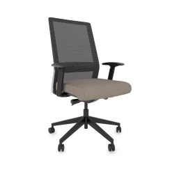 Freeride Mesh Task Chair with Adjustable Lumbar Support