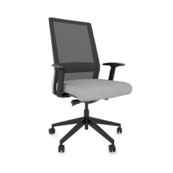 Freeride Mesh Task Chair with Adjustable Lumbar Support
