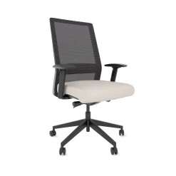 Freeride Mesh Task Chair with Adjustable Lumbar Support