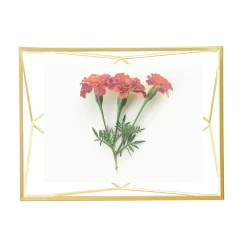 Geometric Picture Frame