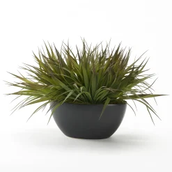 Green and Brown Grass in Black Metta Boat