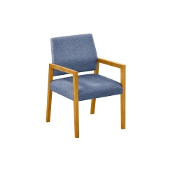 Hampton Guest Chair in Standard Upholstery