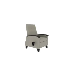 Harmony Healthcare Recliner Chair with Removable Arm
