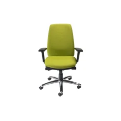 High Back Ergonomic Executive Chair with Headrest
