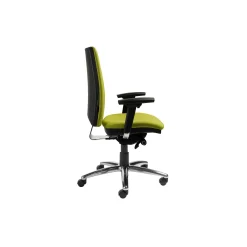 High Back Ergonomic Executive Chair with Headrest