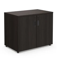 Holloway 2-Door Storage Cabinet – 35”Wx22”D