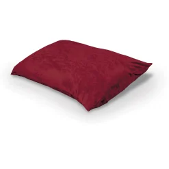 Indoor Pinto Pillow