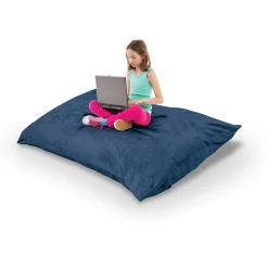 Indoor Pinto Pillow