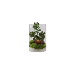 Jade Plant with Aloe and Succulents in Glass Cylinder