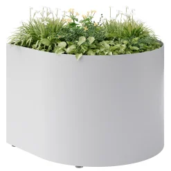 Juna Planter