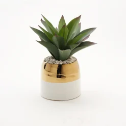Large Aloe Plant in Cream/Gold Ceramic Planter